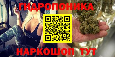 спиды Гулькевичи